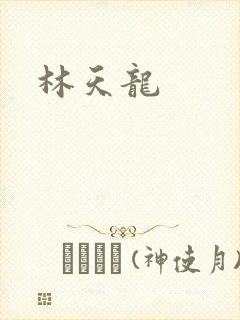 林天龙