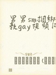 男男sm捆绑调教gay视频网站封面
