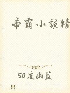 帝霸小说精校