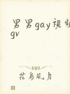 男男gay视频gv