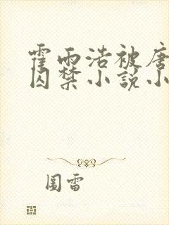霍雨浩被唐舞麟囚禁小说小说