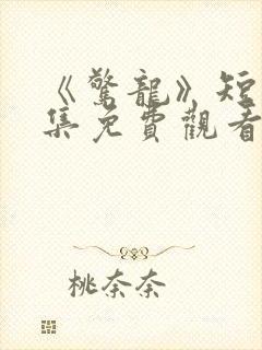 《惊龙》短剧全集免费观看