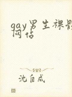 gay男生裸体网站