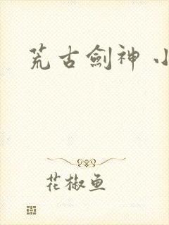 荒古剑神 小说