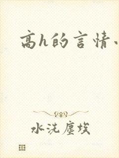 高h的言情小说