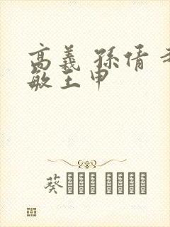 高义 孙倩 赵敏王申封面