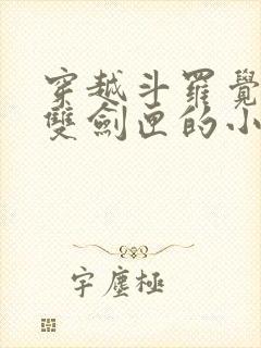 穿越斗罗觉醒无双剑匣的小说