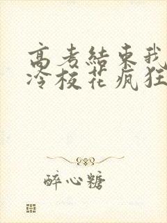 高考结束我被高冷校花疯狂追求免费下载全本