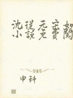 沈从元宋如嫣的小说免费阅读