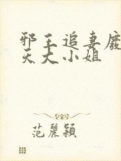 邪王追妻废材逆天大小姐