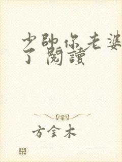 少帅你老婆又跑了 阅读