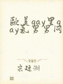 欧美gay里gay气男男网站