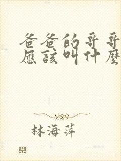 爸爸的哥哥老婆应该叫什么封面