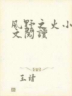 风野之火小说全文阅读封面