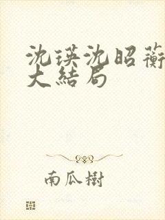 沈瑛沈昭蘅后续大结局