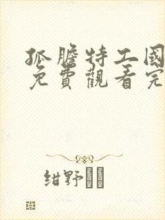 孤胆特工国语版免费观看完整高清