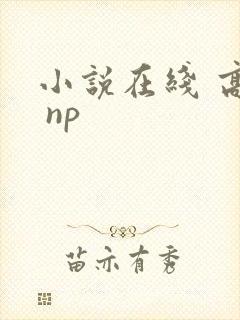 小说在线 高h np封面