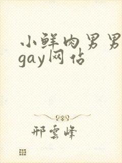 小鲜肉男男同性gay网站