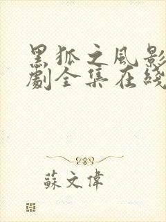 黑狐之风影电视剧全集在线观看免费