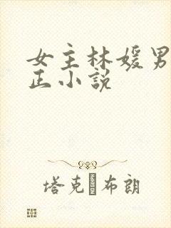 女主林媛男主小正小说