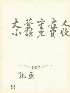 大苍守夜人有声小说免费收听