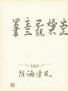 男主已婚出轨秘书三观不正小说封面