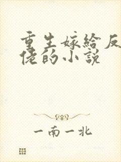 重生嫁给反派大佬的小说