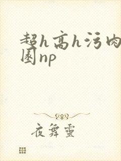 超h高h污肉校园np