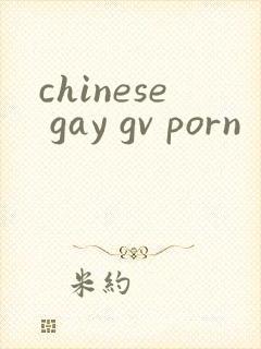 chinese gay gv porn