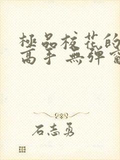 极品校花的贴身高手 无弹窗