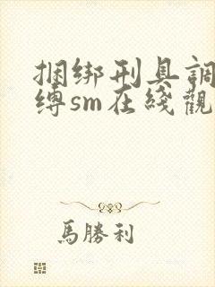 捆绑刑具调教束缚sm在线观看封面