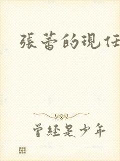张蕾的现任丈夫封面