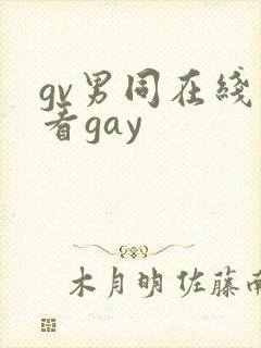gv男同在线观看gay