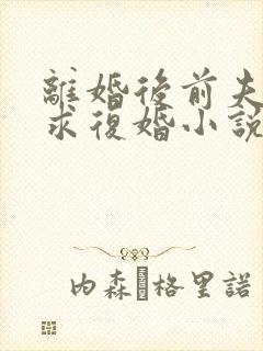 离婚后前夫哭着求复婚小说完整版本
