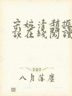 宋婉清赵振国小说在线阅读