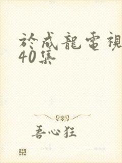 于成龙电视剧第40集