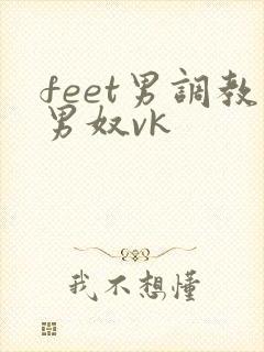 feet男调教男奴vk封面