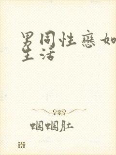 男同性恋如何性生活