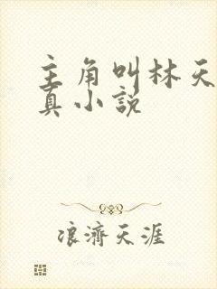 主角叫林天的修真小说