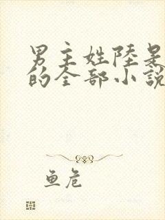 男主姓陆是总裁的全部小说