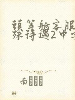 头等舱客服的特殊待遇2中字
