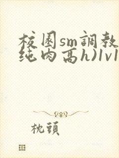 校园sm调教(纯肉高h)1v1