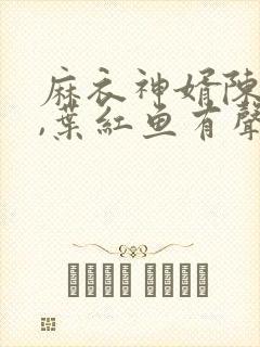 麻衣神婿陈黄皮,叶红鱼有声小说封面