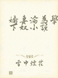 娇妻沦为学生胯下奴小说