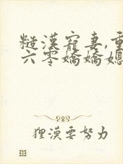 糙汉宠妻,重生六零娇娇媳封面