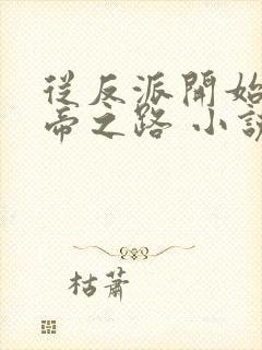 从反派开始的影帝之路 小说