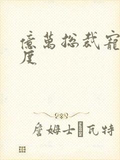 亿万总裁宠妻无度