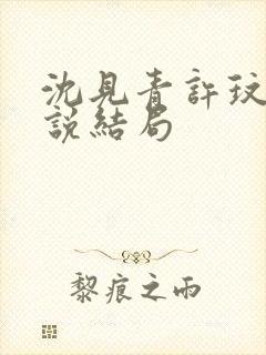 沈见青许玟玟小说结局