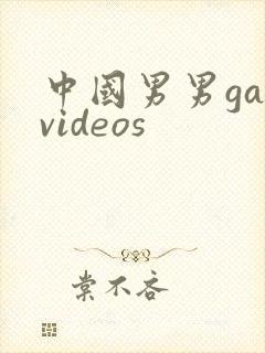 中国男男gayvideos