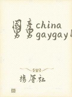 国产china男男gaygay网站